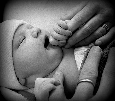 Spring, birth, renewal... Jules!