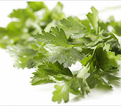 Eating of the Karpas