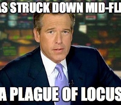 BRIAN WILLIAMS PLAGUE
